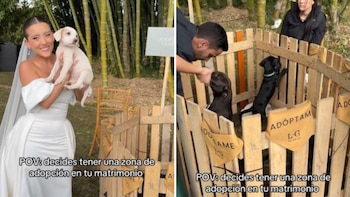 La iniciativa se viralizó y