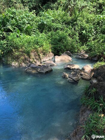 La investigación revela la resistencia