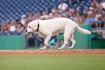 Su último juego tuvo lugar