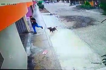 La víctima intentando escapar de