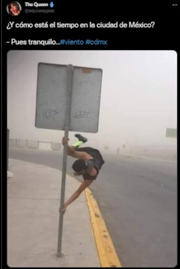 (Foto: Twitter/@equissoypao)