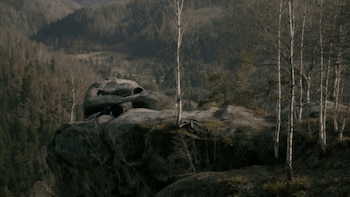 Imagen de "The Wanderer" ("El