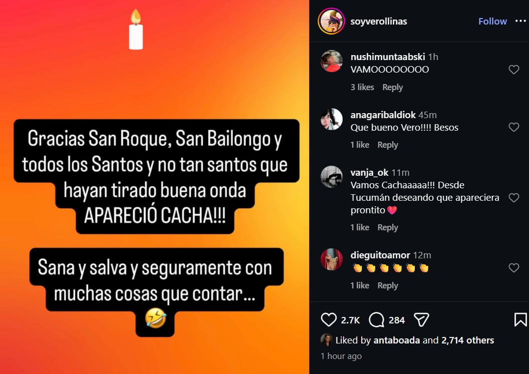 Con emoción, la actriz compartió un breve posteo donde anunció la aparición de su querida mascota (Instagram)