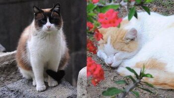 Empleados de la Secretaría de