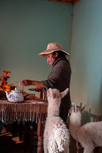 “El turismo comunitario indígena surge