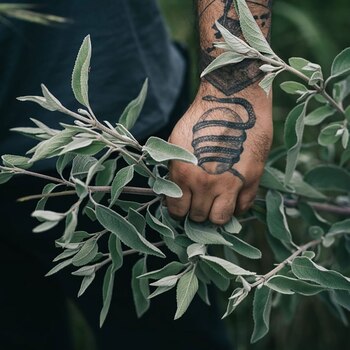 Sus platos cuentan su historia