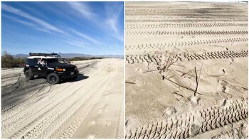 Captan a turistas extranjeros conduciendo