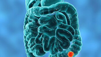 Cómo las pruebas regulares para