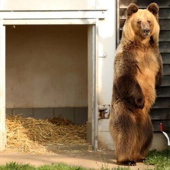 Tuvo una vida difícil, pues