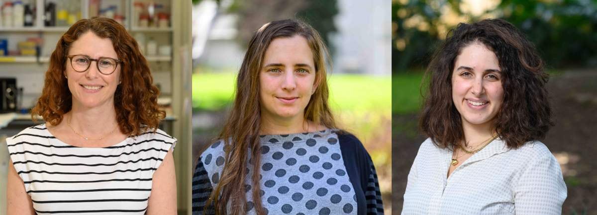 (De izq. a der.) Prof. Yardena Samuels, Dra. Shira Sagie y Dr. Nofar Gumpert (Instituto Weizmann)