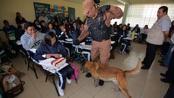 El programa se aplica desde