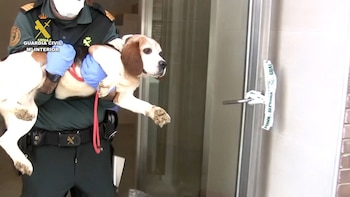 Extraditan desde Venezuela al dueño