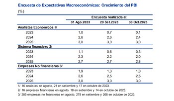 PBI crecería hasta solo el