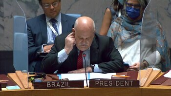 Consejo de Seguridad de ONU