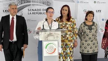 Paola Schietekat case: Senators asked