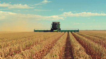 "El sector agropecuario también mostró