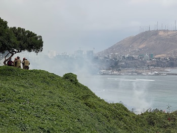 Cuatro bomberos en un área verde junto a un árbol observan el humo que asciende frente al mar y los edificios del fondo