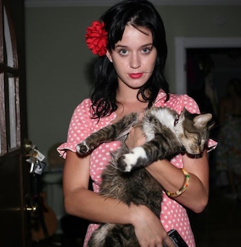 Kity Purry gatos famosos (Foto: Instagram/katyperry)