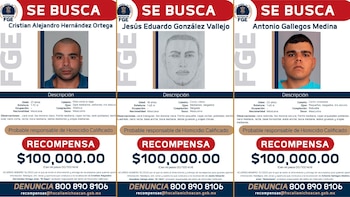 Imagen 4G7VTVX3M5HTROERDRTAHNCX2U