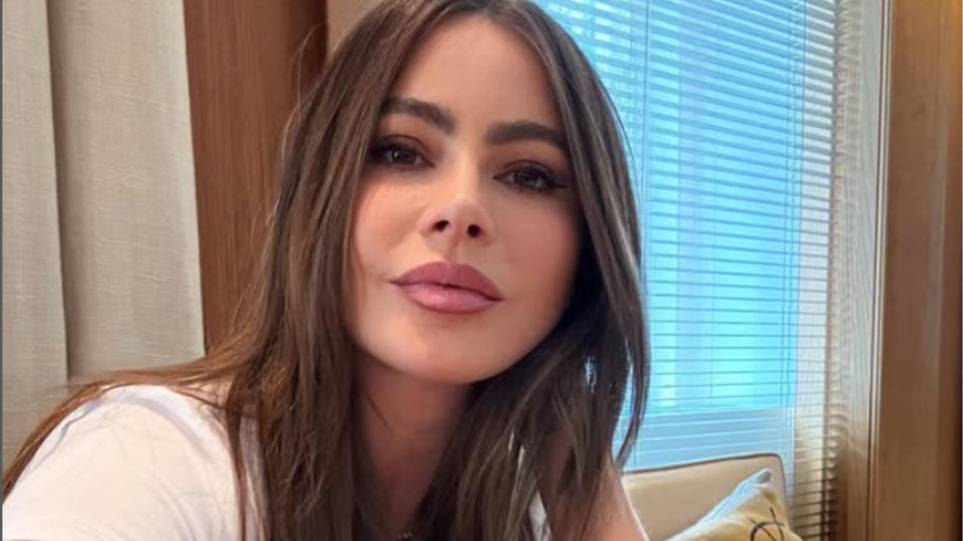 Así han felicitado los famosos a Sofía Vergara por su cumpleaños - crédito @sofiavergara/IG