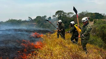 Las Fuerzas Militares desplegaron 260 uniformados para contener los incendios forestales en ocho departamentos de Colombia