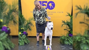 “Toky”, el Dogo Argentino que