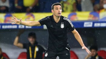 Lionel Scaloni, técnico de la