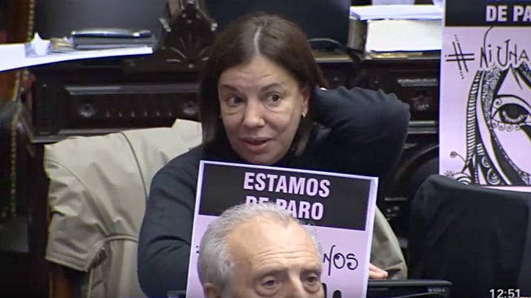 Fue diputada por la provincia de Chaco desde el 2009 hasta el 2017
