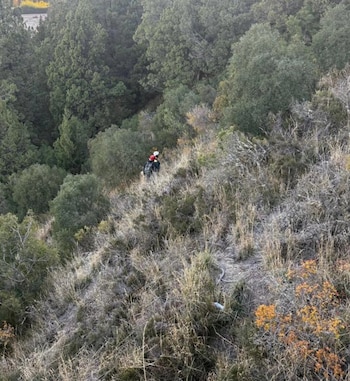 Vista aérea de un excursionista subiendo una ladera empinada y seca con arbustos dispersos, rodeado de un espeso bosque de coníferas