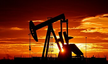 Durante los primeros seis meses