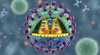 Una ilustración científica tridimensional revela