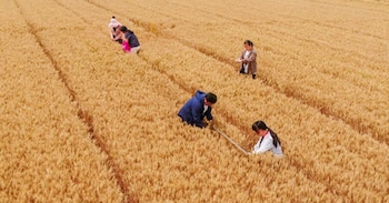Ahora los chinos se entusiasman