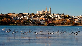 El rol de los patagónicos
