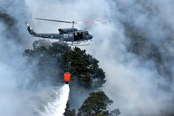 Las estadísticas oficiales ubican a Guatemala, Quiché, Sacatepéquez y Petén entre los departamentos con mayor incidencia de incendios forestales.