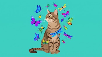 Ilustración plana de un gato atigrado marrón sentado, rodeado de mariposas, libélulas y escarabajos de colores vibrantes sobre un fondo turquesa.