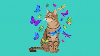 Un estudio revela la sorprendente dieta de los gatos callejeros