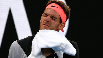 Del Potro se bajó del