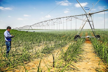 El financiamiento de los proyectos