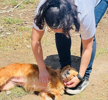 Este é o refúgio franciscano,