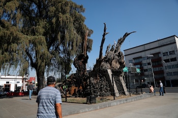 MEX6769. CIUDAD DE MÉXICO (MÉXICO),