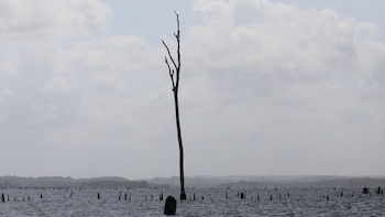 El Niño vuelve al radar