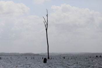Los bajos acumulados de lluvia
