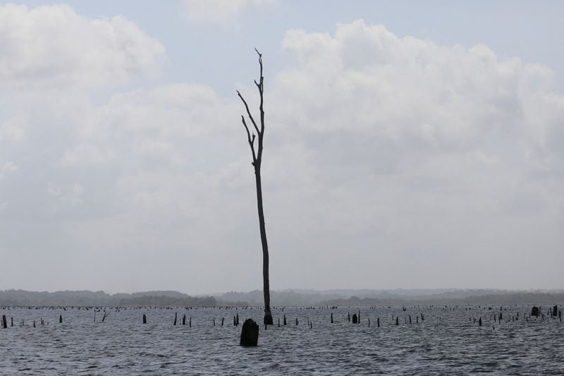 Los bajos acumulados de lluvia asociados a El Niño llevaron a que los lagos Gatún y Alhajuela registraran niveles críticos, lo que redujo la disponibilidad de agua necesaria para sostener el ritmo normal de tránsitos por el Canal de Panamá. REUTERS
