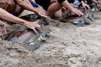 Debido a las buenas condiciones