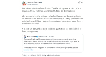 La publicación de Bullrich contra