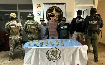 La detención de los presuntos