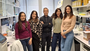 Expertos muestran que los telómeros