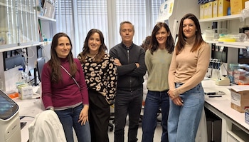 Imagen 4HAYGZGGFVANDNCORQXK3KWMG4