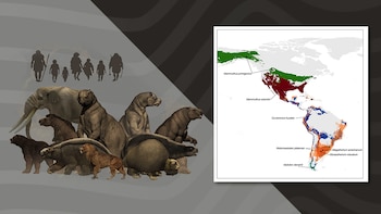 Los primeros pobladores americanos eran cazadores especializados de grandes mamíferos