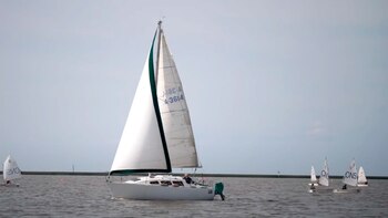 Llega al mercado una nueva